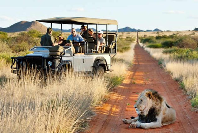 South Africa Tour Package